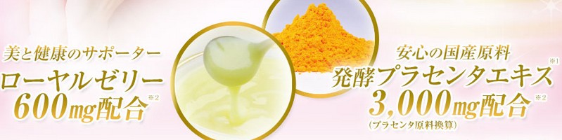 ���[�����[���[�ƃv���Z���^�y��킽�z���T�C�g